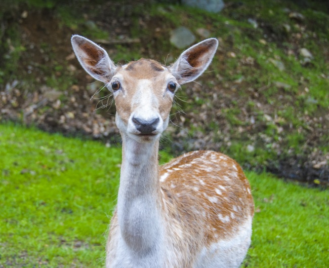 隐藏自我 神秘感很强的星座男