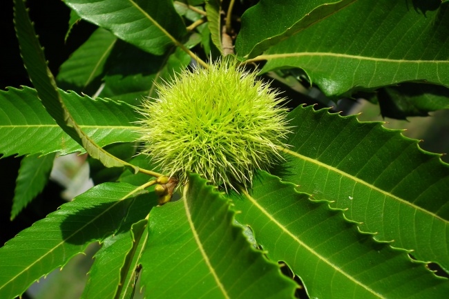 2023年双子女整体运怎么样具体分析  发展状况