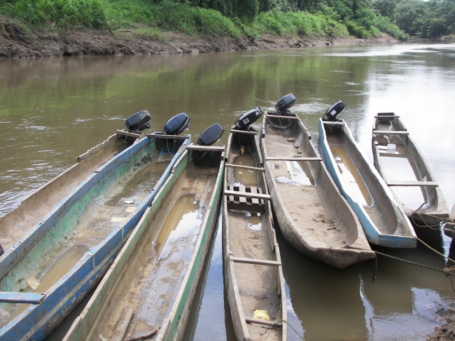 处女座到了2023年怎么样，处女座2023年运势发展如何