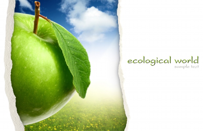 唐绮阳巨蟹座2022年12月运势详解