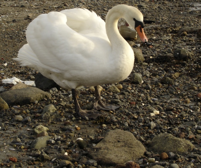 店铺取名大全2023最新版的 店铺起名小技巧