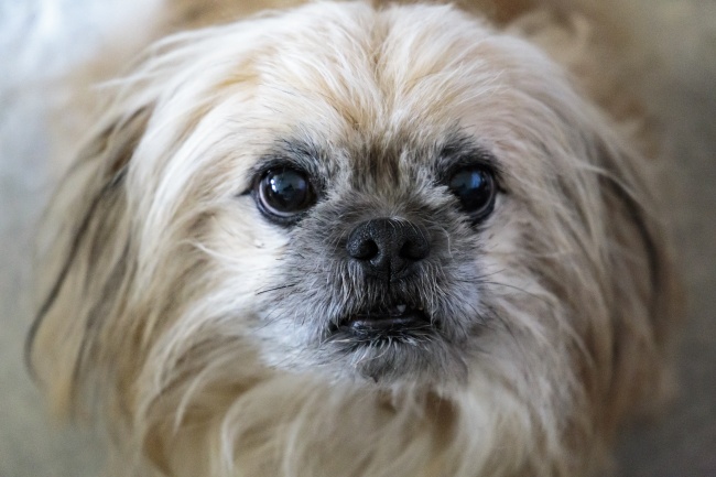 梦到了鞋子丢意味着什么