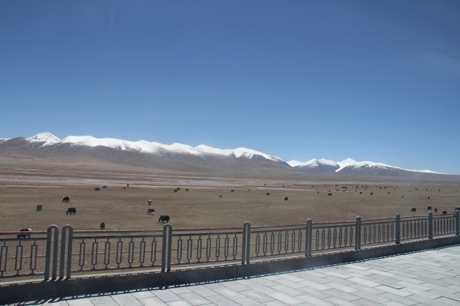 射手座2023年上半年的感情运势分析 有什么建议