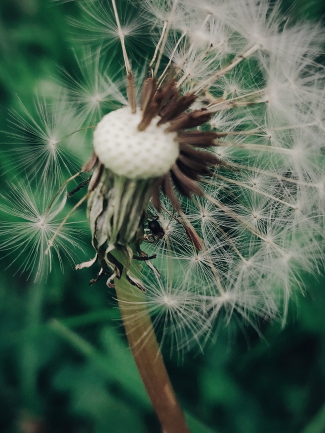 传媒公司取名 创意好听的传媒公司名字