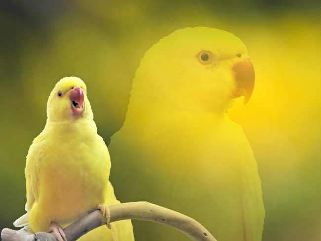 Alex 天蝎座一周运势(11.28—12.4)