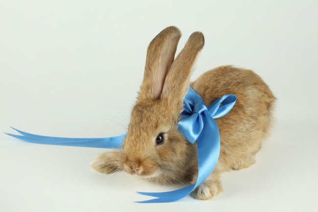 传媒公司起名大全免费 高端大气传媒公司名字