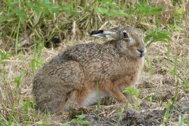2023年摩羯男偏财运旺不旺  详情分析