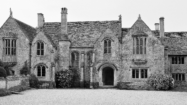 静电鱼 十二星座【周运11月28-12月4日】