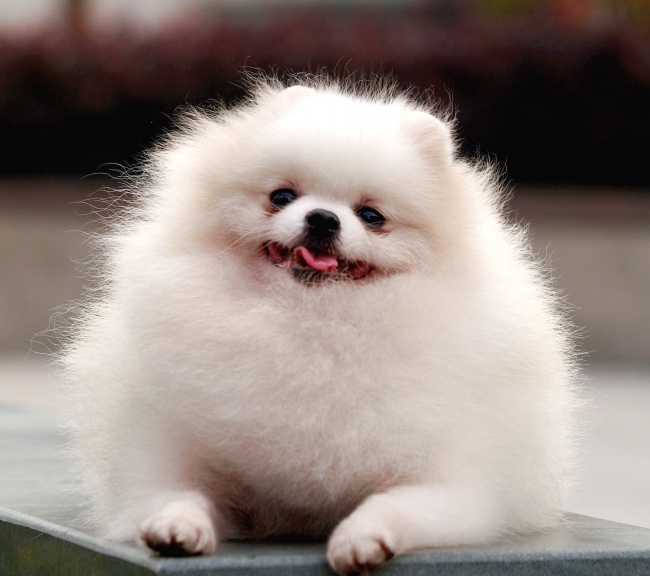 2023取名大全最新版的 开店怎么起名好听