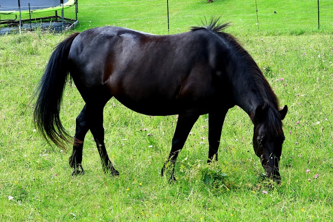 姻缘朝阳桃花运来!2023春节期间喜获佳人的3星座