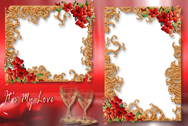 苏珊米勒  每日星座运势11.29