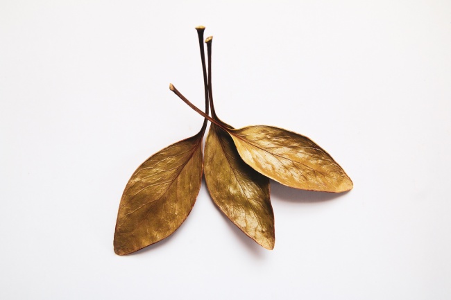 2023年天蝎座全年运势详解 专注学习 摒除杂念