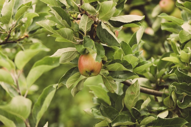 直播传媒公司名字大全 文化传媒有限公司取名