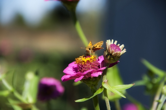 Alex  水瓶座一周运势（11.28—12.4）