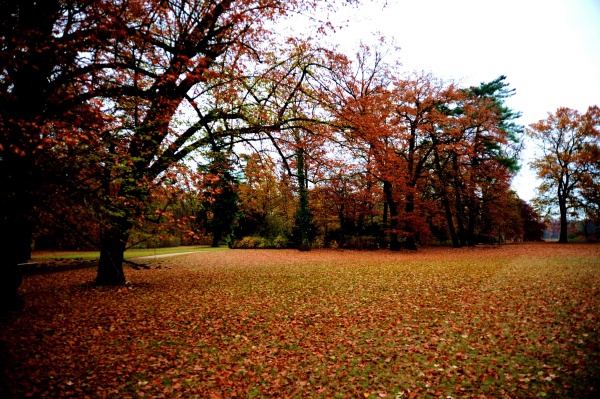 2023年兔年最吉利的星座男 时运大转把握时机好运环绕