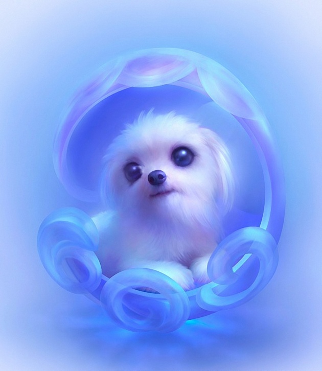 2023春节后事业如日中天的三大星座 惊喜接连而至