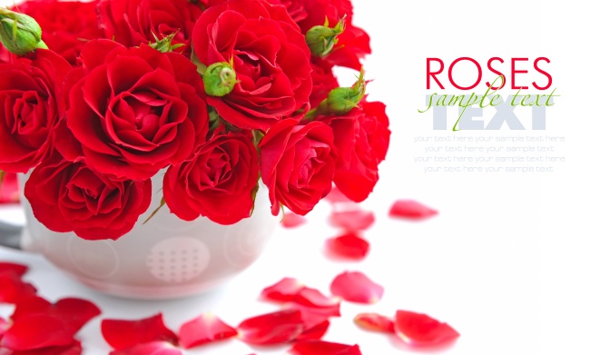 网络科技公司起名字大全免费 现代感的传媒公司名称