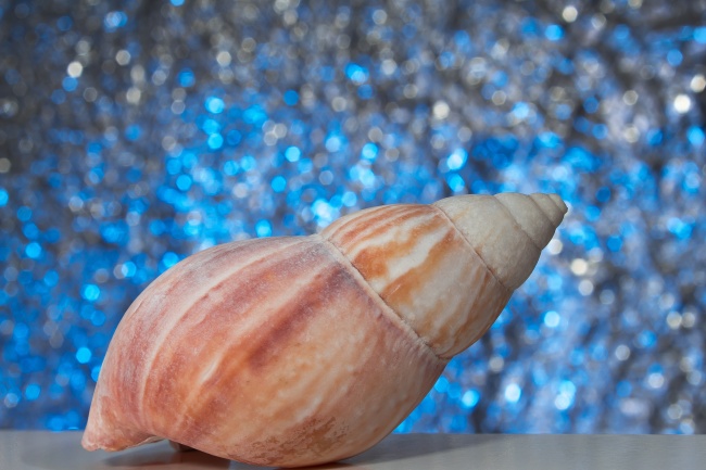 摩羯座12月份运势2022年 2022年12月摩羯座运势详解