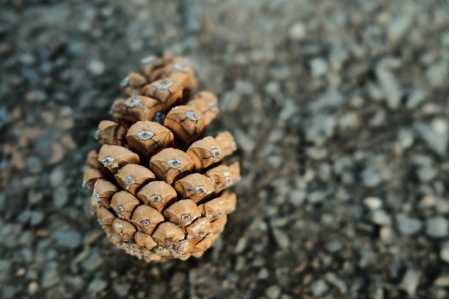 2023水逆期间 双子座如何霉运转好运?