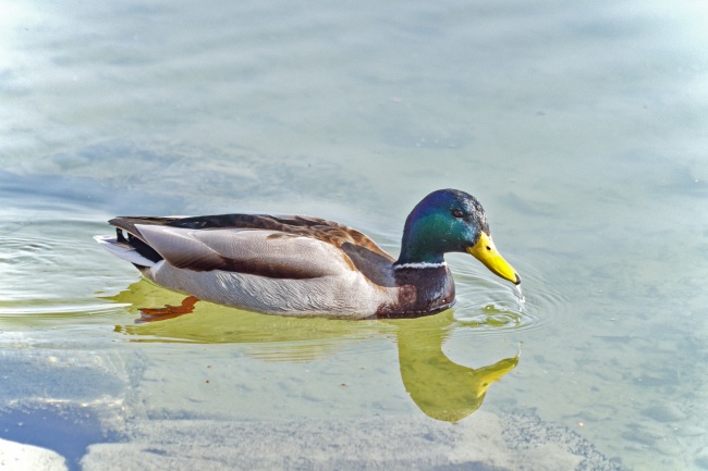 小商店名字店名大全集2023 店铺起名小技巧