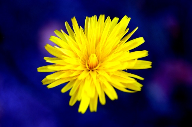 盘点12星座中最难对付的3星座!他们软硬不吃,想法很多