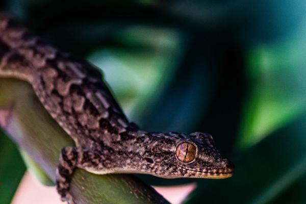 2023男装店名旺铺 吉祥好听的男装店名怎么起