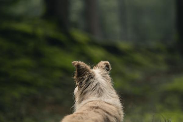 金融中介公司名字大全 简单大气的金融公司名字