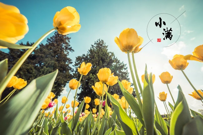 2023年店铺最吉祥的名字 内涵大气的店名推荐