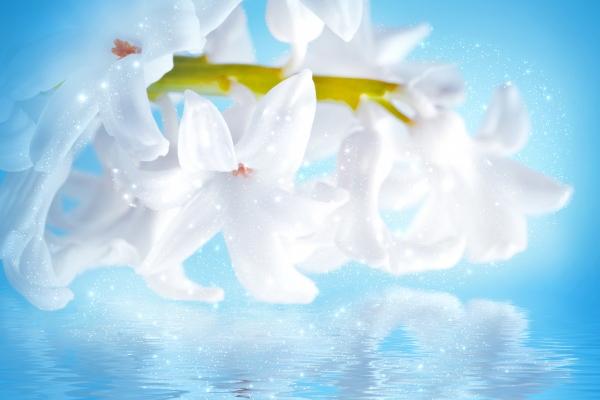 梦到出老千代表着什么