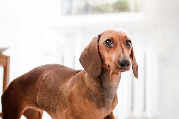 2023年最旺最顺白羊女，白羊女2023年运势如何