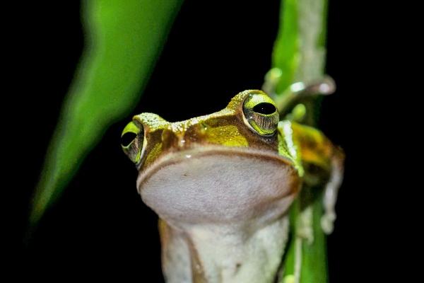 他们不会为任何人改变!生来骄傲,一身倔骨的4星座