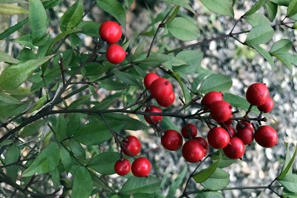 美容美业公司起名字大全四个字 好听的起名推荐