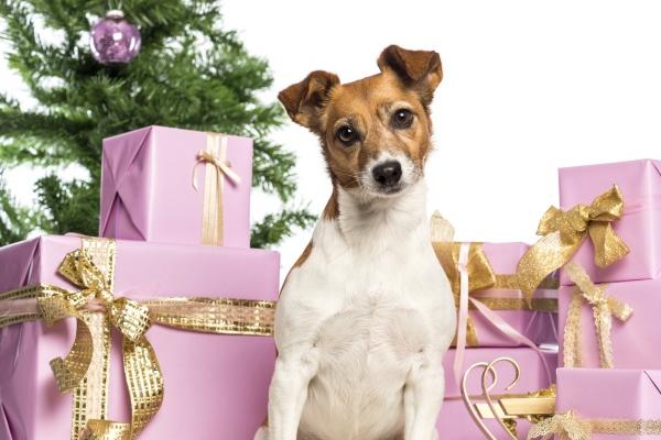 巨蟹座2023年必遭遇的劫难，会遇到什么问题