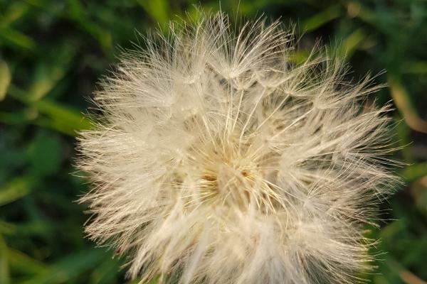 完全不用跟他们拐弯抹角!这3星座性子直,想法都挂在脸上