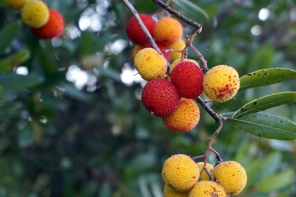 房地产公司取名字大全集三个字 中介公司名字大全