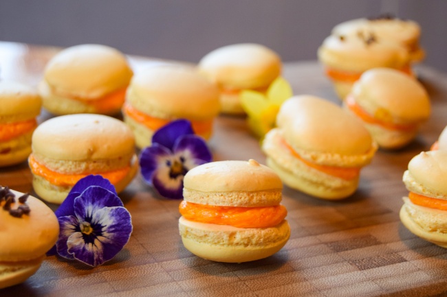 金牛座2023年必遭遇的劫难，会遇到什么困难