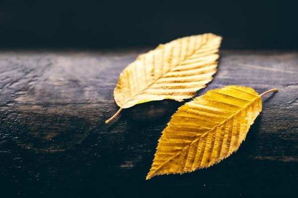 公司起名字大全免费 好听吉祥的公司名字大全