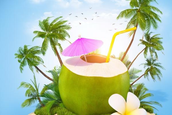 静电鱼 射手座【周运12月5-11日】