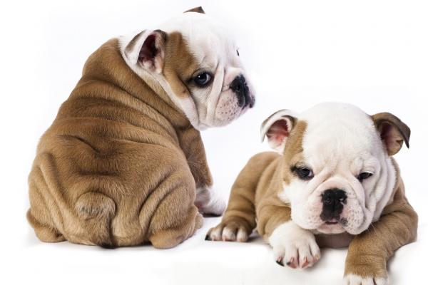 适合美容业公司名字 独一无二的美容公司名字