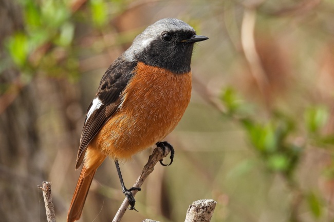 开公司怎么取公司名 起公司名字大全免费简单