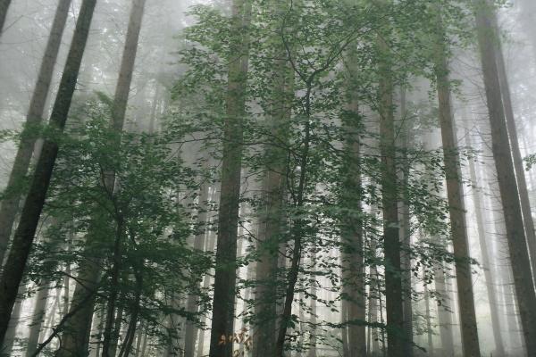 2023年双鱼女桃花运旺不旺 哪个月最好？  　　