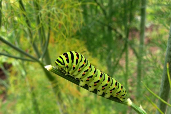 巨蟹座在2023年春节期间的脱单圣地 居家购物超市