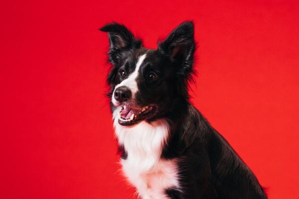 传媒公司名字 有创意好听的传媒公司名字大全