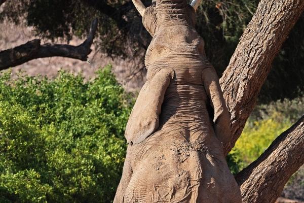 有创意的广告公司名字 寓意好的广告公司名字