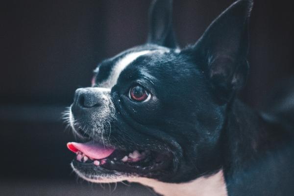 2023年1月份十二星座学业运势排名分析  前程无忧