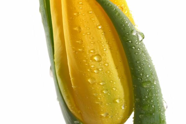 2023年春节过后 摩羯座结婚的概率大吗