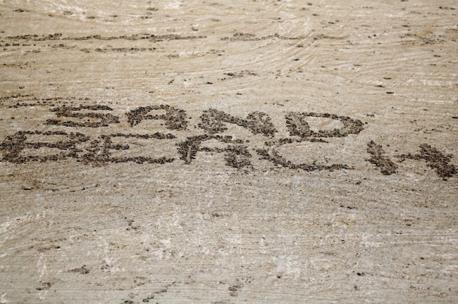 唐立淇  每日星座运势1207