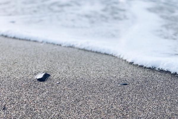 2023年金牛座桃花运春季运程详解  有好运出现