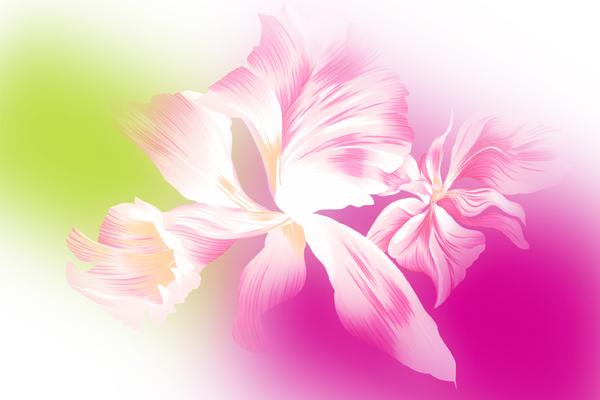 双鱼座2023年必遭遇的劫难，小心陷入三角关系