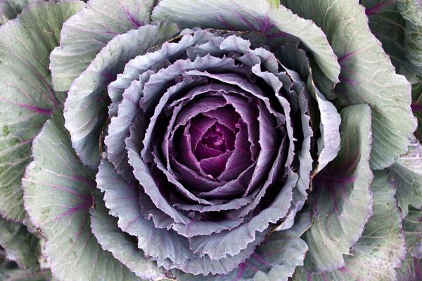 双子座2023年桃花运春季情况  表现平平